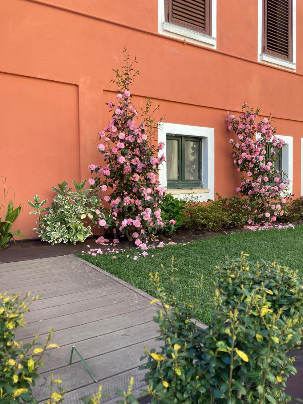 Appartamento Casa Teresa Germignaga Esterno foto